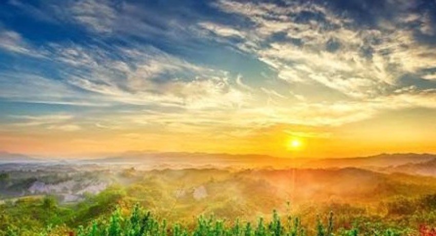 创意星球 - 蘑菇视频app - 先锋创意概念实验与输出平台